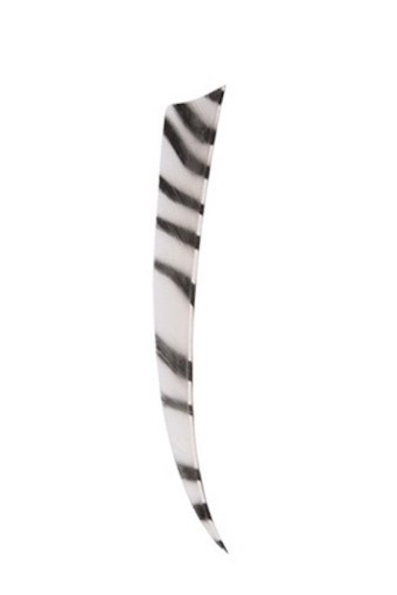 Naturfeder Shield zebra 5" 10 Stück